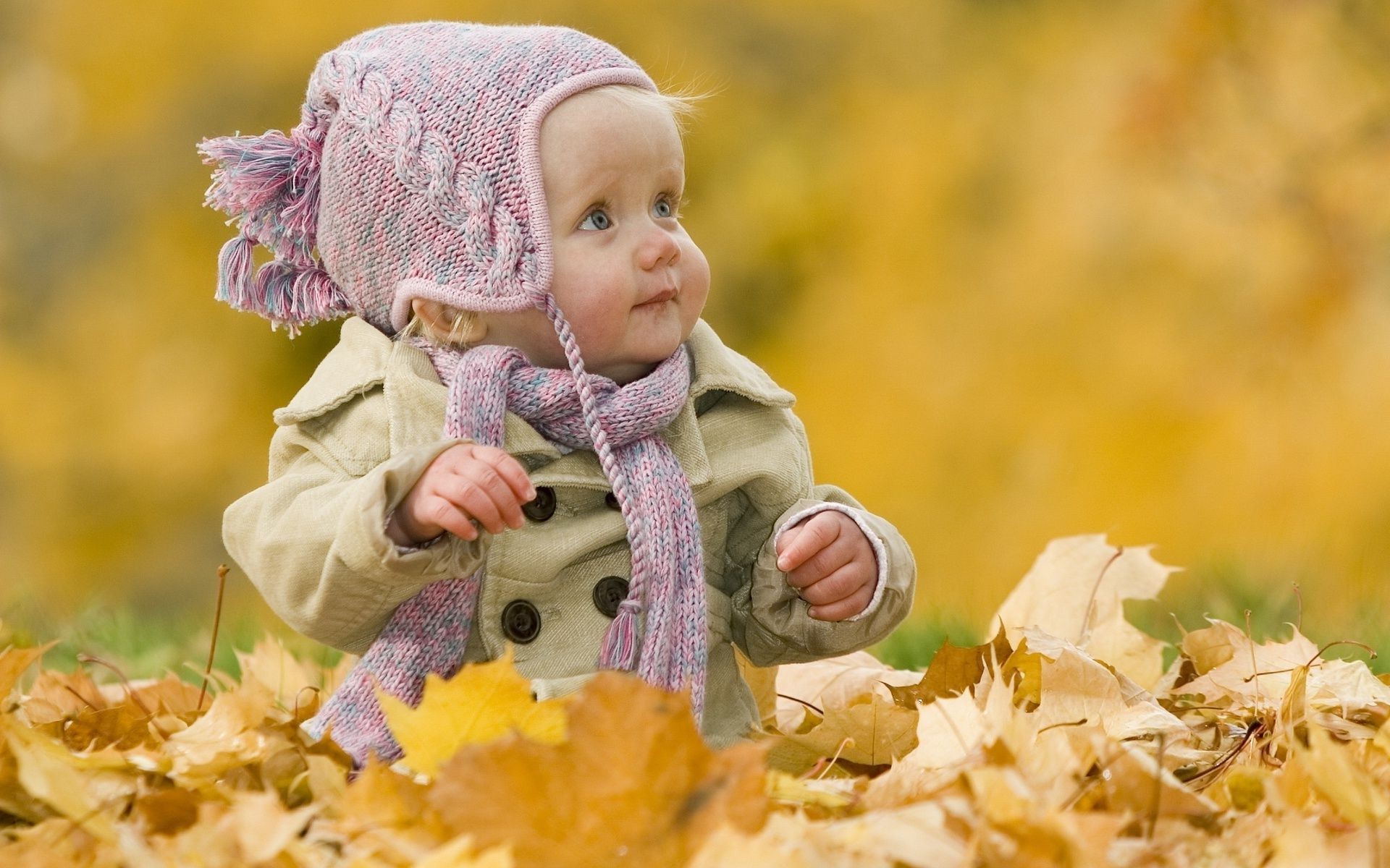 дети на природе осень природа ребенок парк кленовый на открытом воздухе мало милые удовольствие лист девушка счастье трава сезон снаружи красивые отдых улыбка