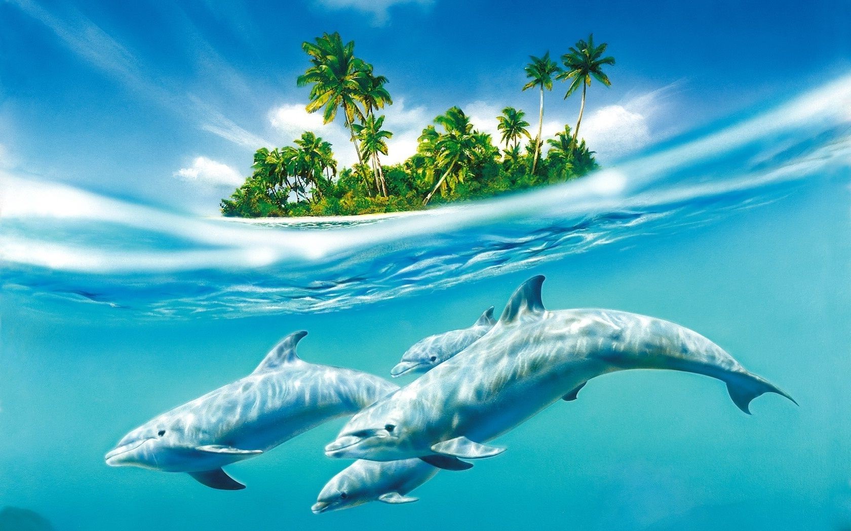 дельфин подводный воды воздуходувки природа плавание океан на открытом воздухе море дикой природы кит рыбы дайвинг