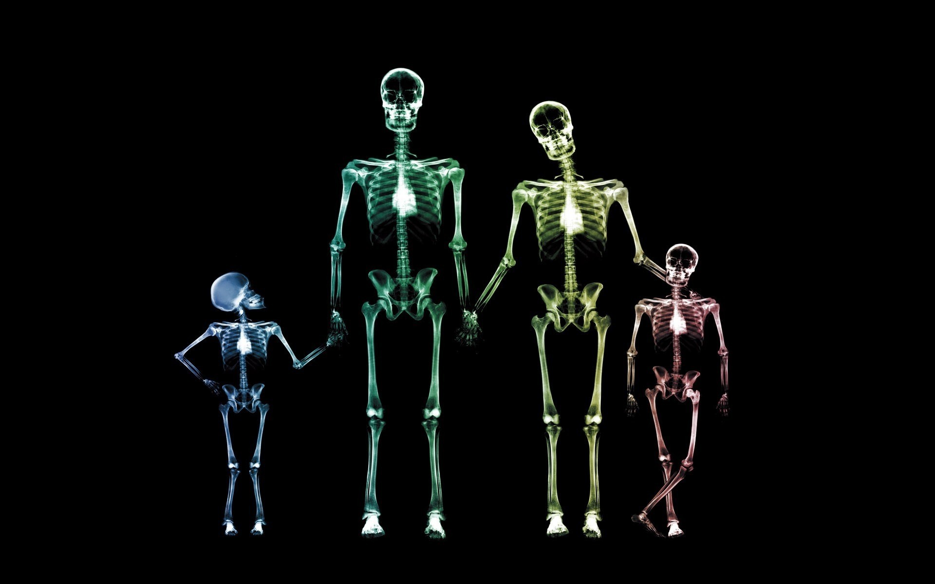 drawings биология наука анатомия рамка медицина человек тело кость черный цвета смешно обои