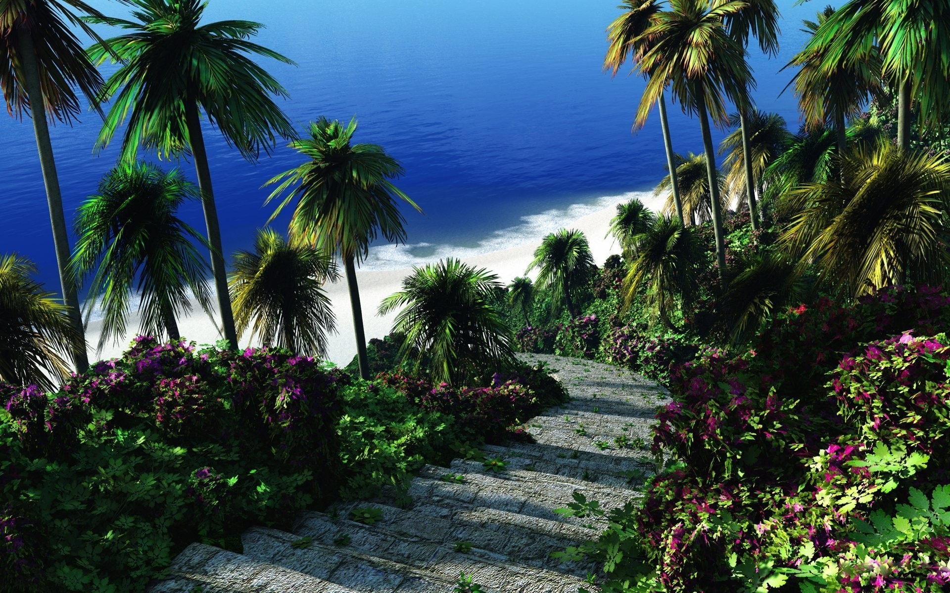 лето ладони тропический курорт дерево пляж остров кокосовое рай отпуск экзотические моря путешествия идиллия солнце океан отель фронд релаксация см лестницы пейзаж природа