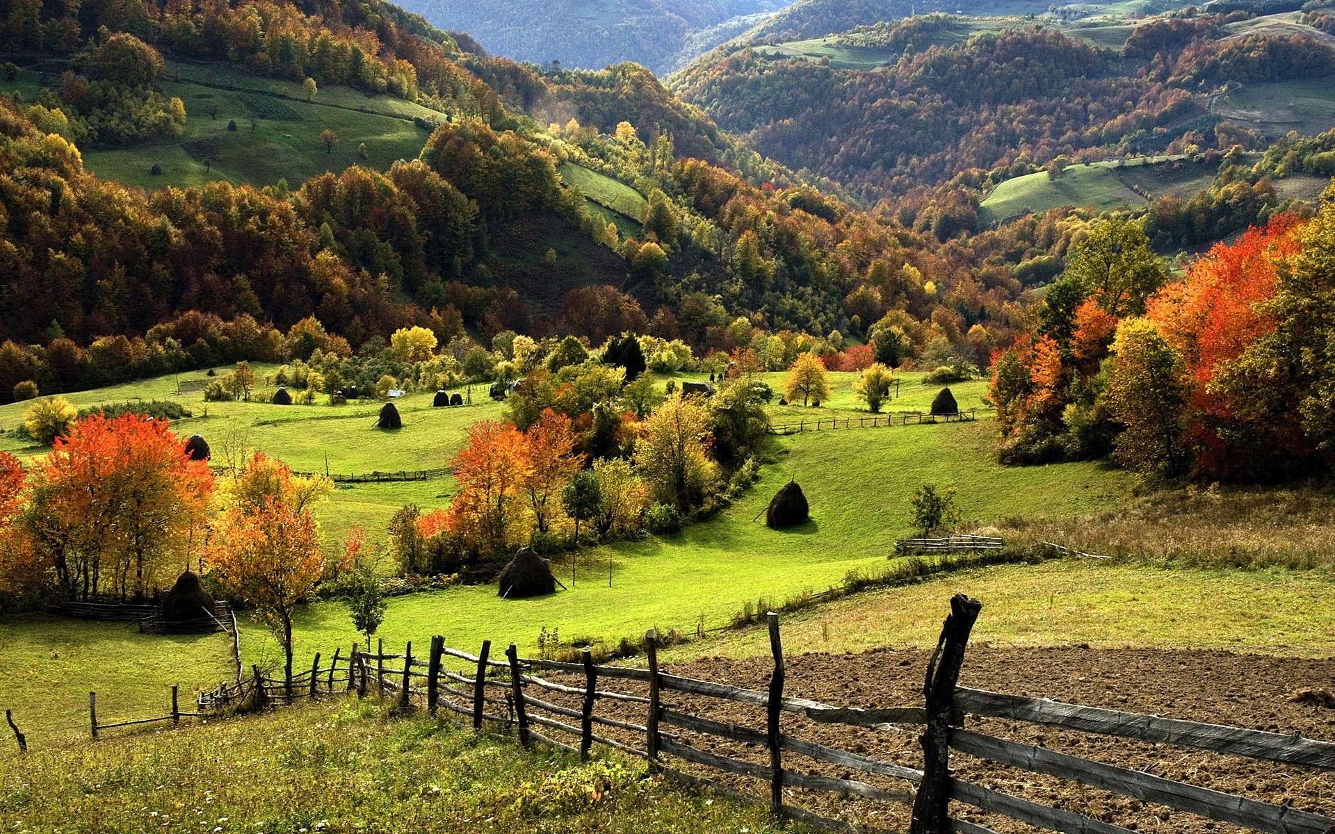 пейзажи пейзаж природа дерево сельской местности осень на открытом воздухе сельских древесины сельское хозяйство трава холм живописный путешествия возделываемые земли пастбище небо ферма горы долина mounatins холмы