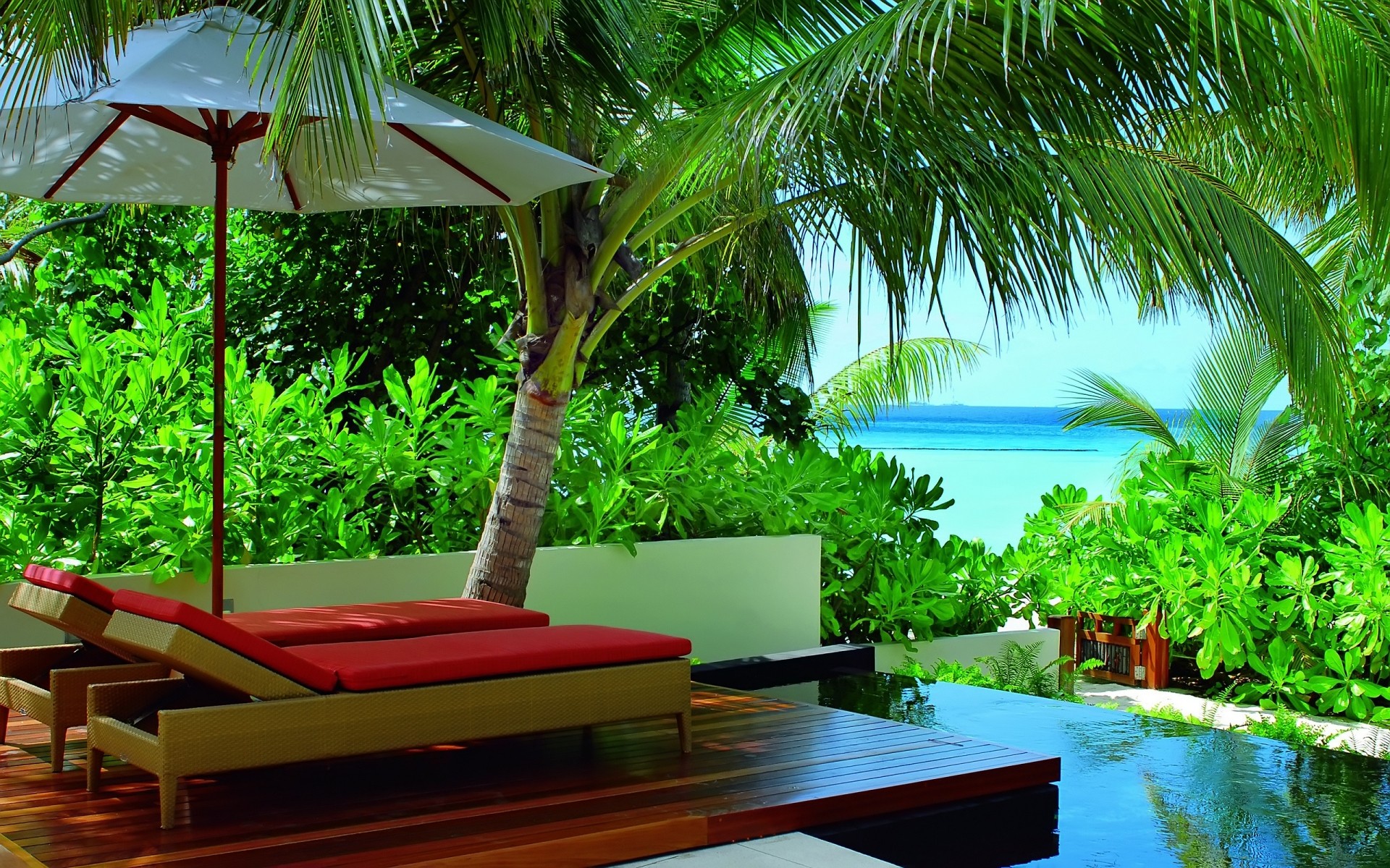 лето тропический стул отель диван релаксация курорт роскошные ладони бассейн экзотические отпуск место воды отдых кокосовое дерево остров путешествия