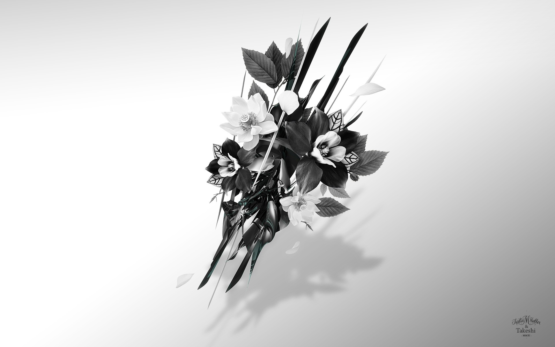 фотообработка монохромный цветок природа лист флора черный и белый искусство лето