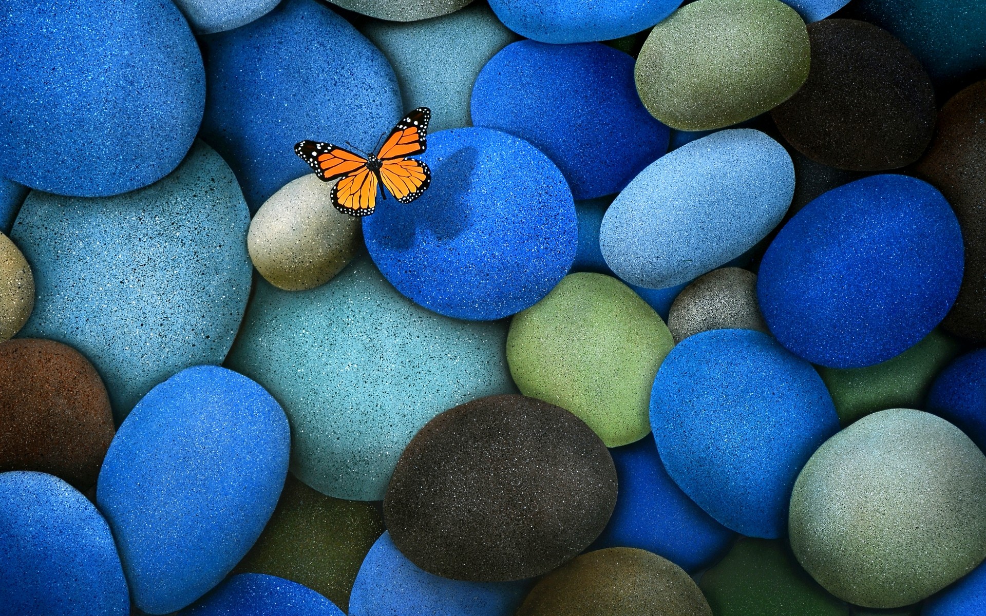 насекомые пасха яйцо цвет рабочего стола дзен баланс камушки бабочка фон