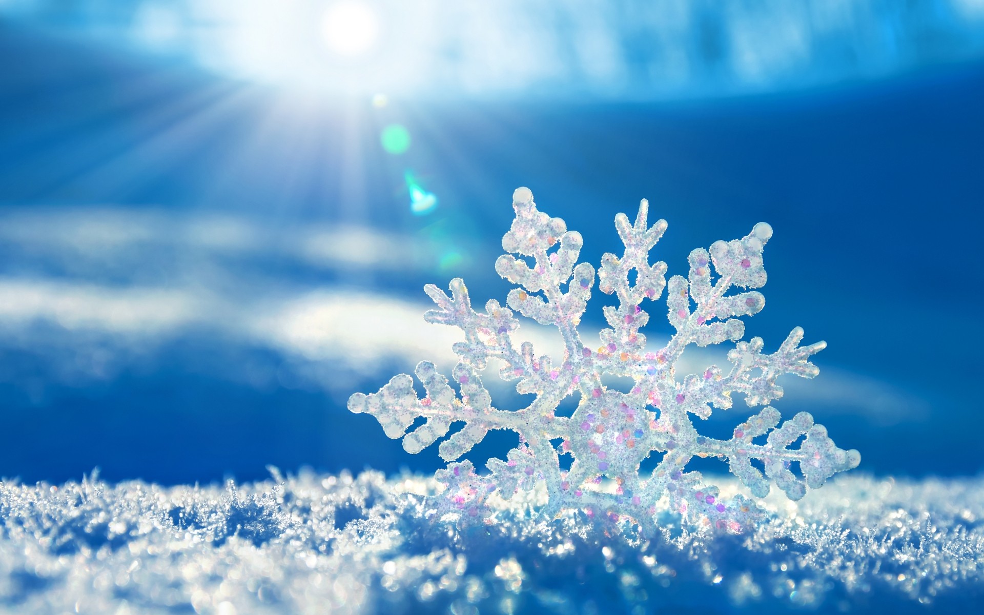 зима снег мороз сезон рождество холодная замороженные снежинка лед рабочего стола природа дерево морозный яркий погода цвет небо фон пейзаж