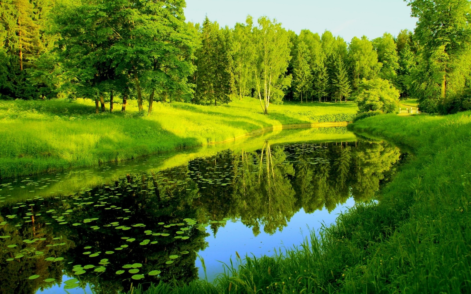 пейзажи пейзаж дерево природа трава древесины на открытом воздухе живописный лето сельских сельской местности дневной свет сенокос идиллия среды лист воды парк лес озеро