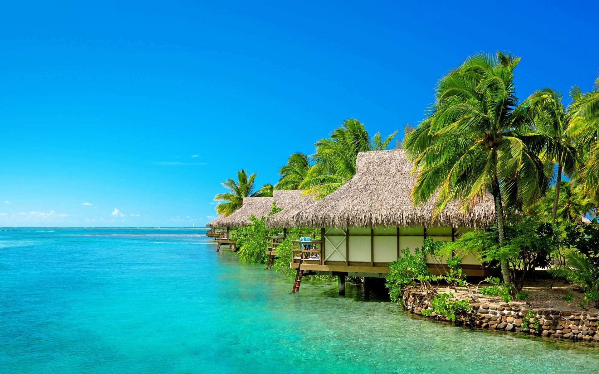 пейзажи тропический пляж остров экзотические рай ладони воды путешествия лето песок моря курорт океан отпуск идиллия бирюза релаксация кокосовое лагуна пейзаж пейзаж море пальмы