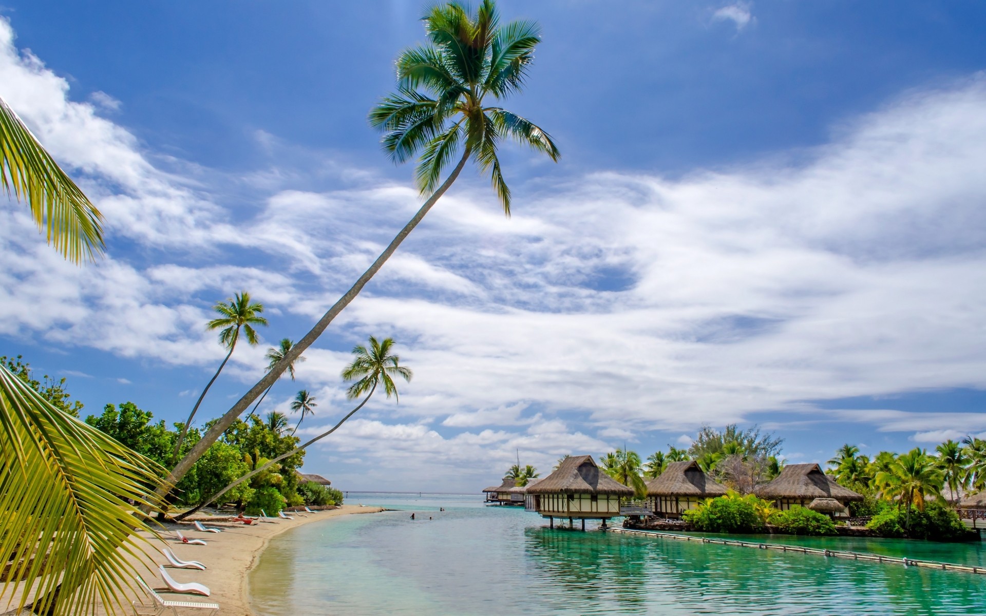пейзажи тропический пляж ладони песок путешествия воды экзотические моря остров лето идиллия релаксация курорт кокосовое океан отпуск рай солнце дерево пальмы великолепный красивые