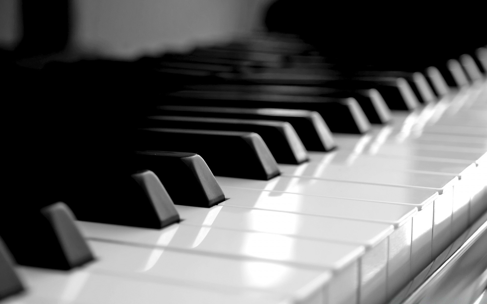 черно-белое фортепиано эбони кот синтезатор звук клавиатура аккорд пианист инструмент ключ джаз гармония музыка акустическая песня ритм классическая музыка тени оркестр
