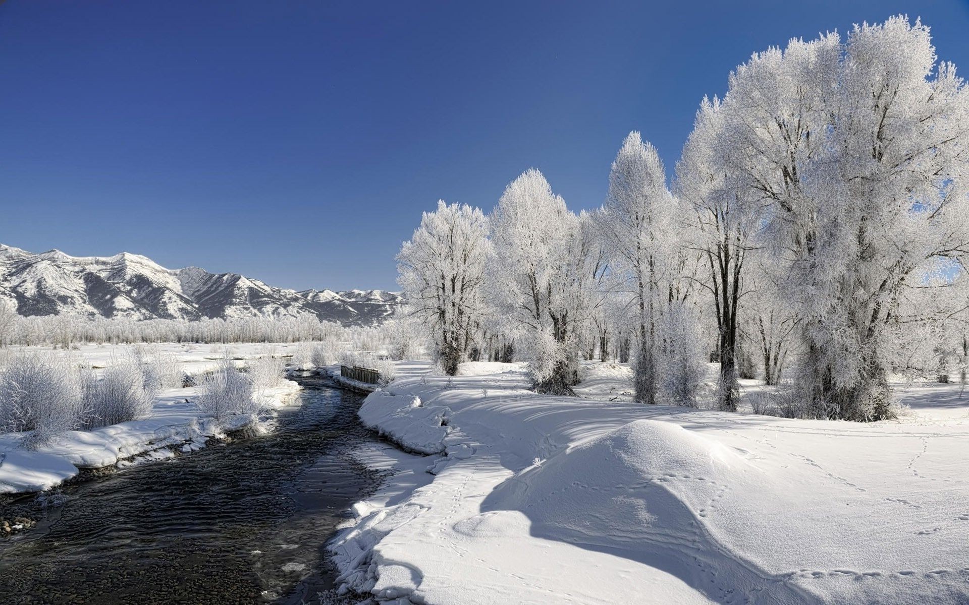 реки пруды и ручьи прудов и ручьев снег зима холодная мороз лед замороженные пейзаж древесины погода дерево морозный живописный горы