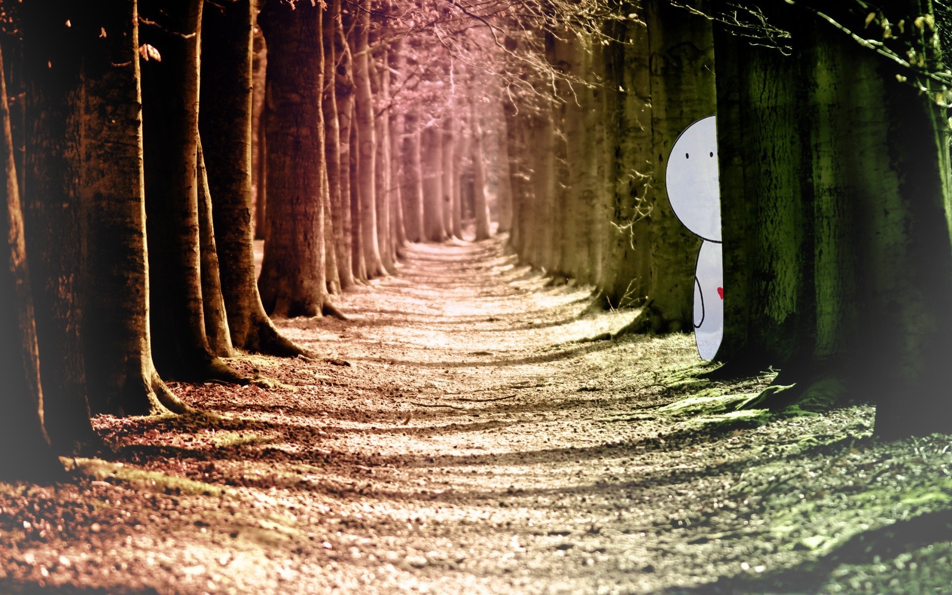 романтика древесины свет дерево руководство тоннель тайна тень природа парк пейзаж темный прогулка аллея лист
