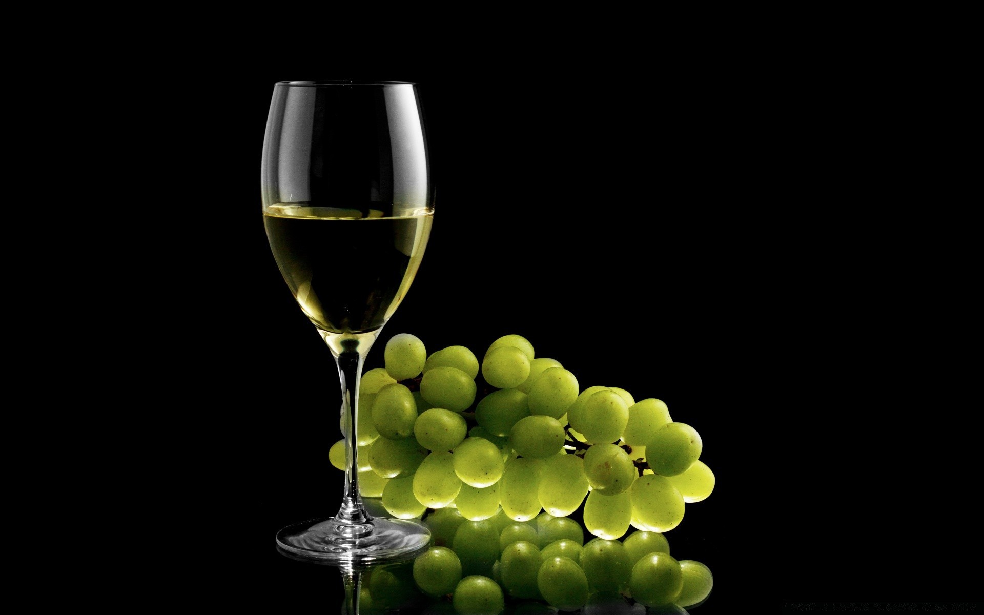 напитки вина стекло пить алкоголь винзавод виноград вайн бутылка бокал жидкость мерло участник