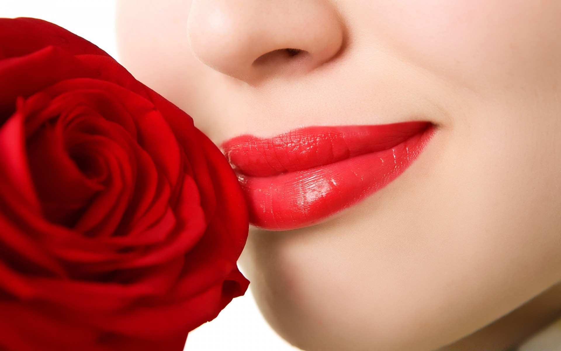 другие девушки женщина девушка любовь красивые гламур молодой портрет роза мода губы цветок сексуальный один лицо