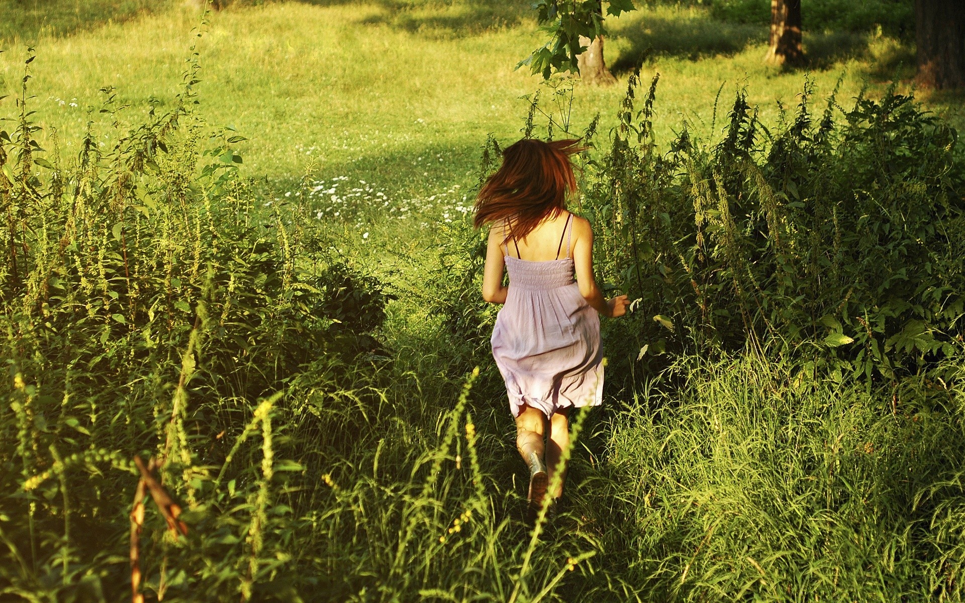 Пышка гуляет по скошенной траве в поле
