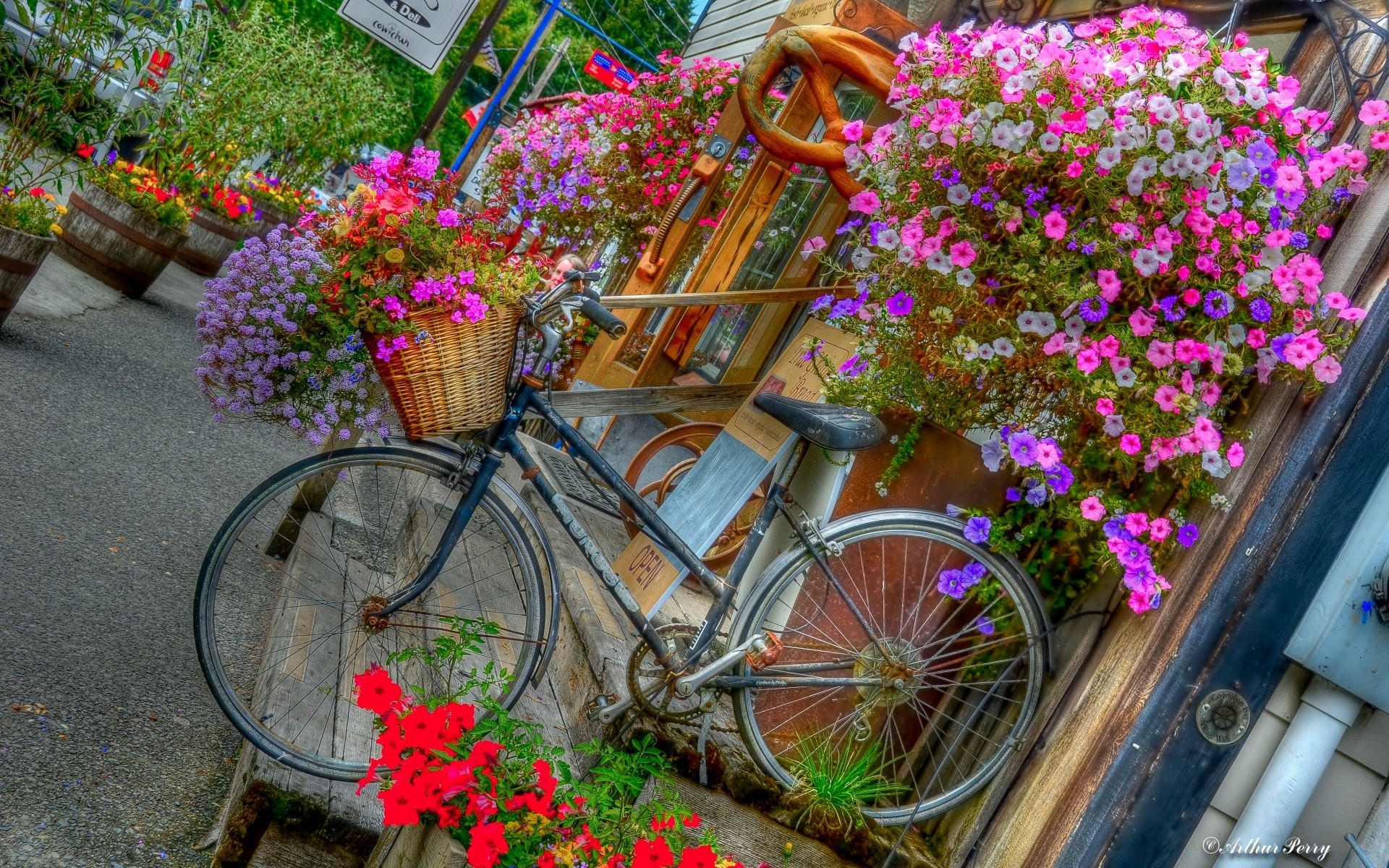 винтаж цветок сад флора лето букет украшения природа цветочные блюминг на открытом воздухе роза