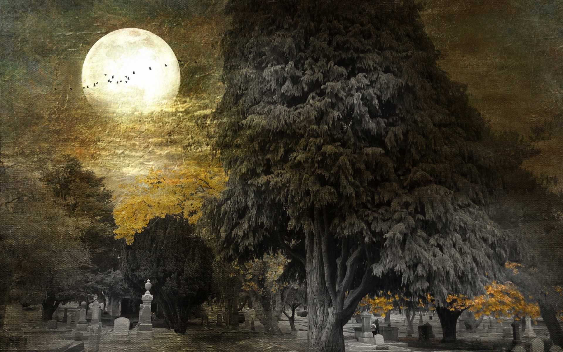 винтаж дерево путешествия на открытом воздухе луна зима воды живопись
