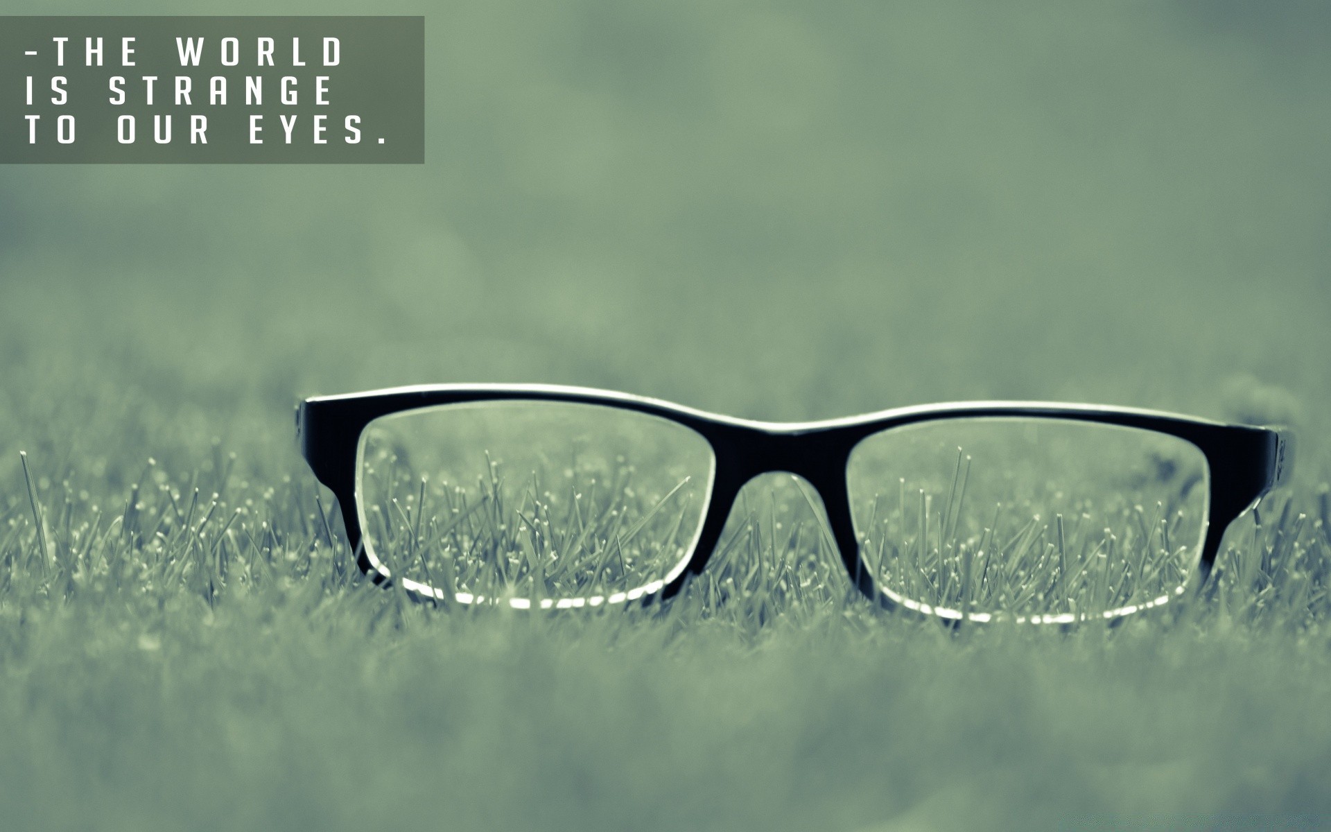 креатив солнцезащитные очки очки очки зрение лето объектив хорошую погоду солнце защита очки стекло фоторамка пластик отражение носить видение ультрафиолетовое круто природа