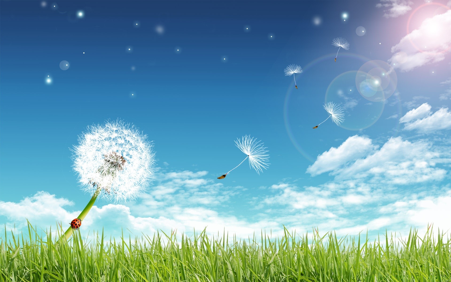 креатив трава сенокос поле газон солнце природа лето небо хорошую погоду сезон яркий пространство