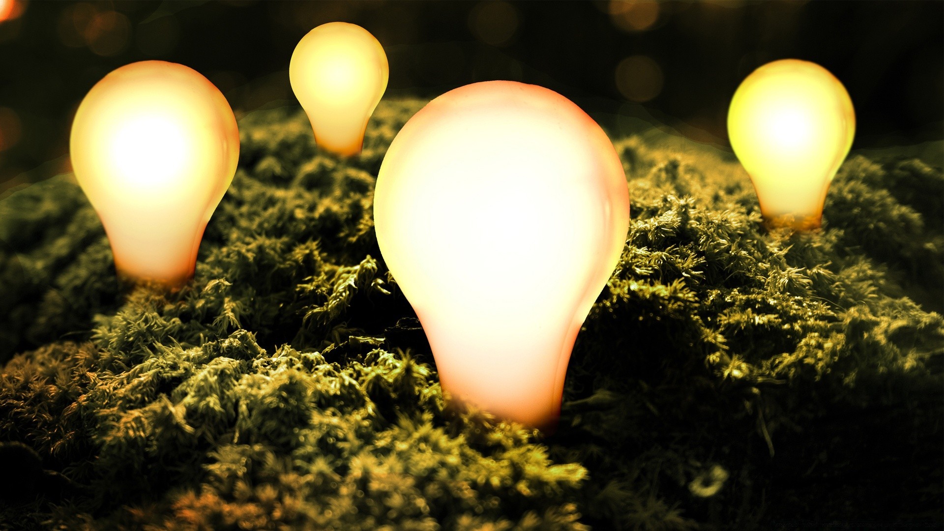 креатив лампы электричество вдохновения лампа природа энергии яркий свет пламя землю свеча изобретение среды