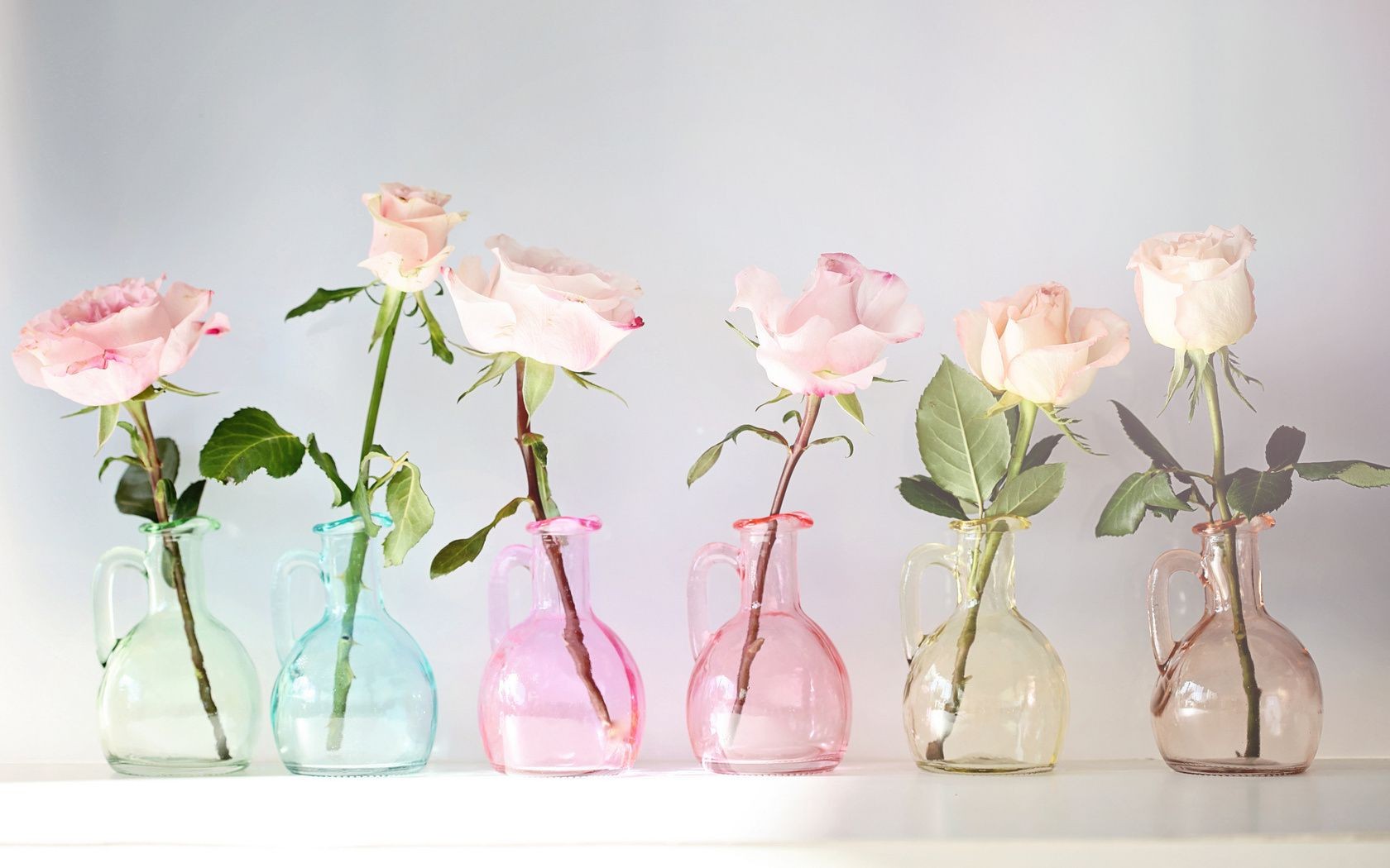 цветы цветок природа ваза флора лист романтика рост роза цветочные любовь изолированные романтический букет рабочего стола