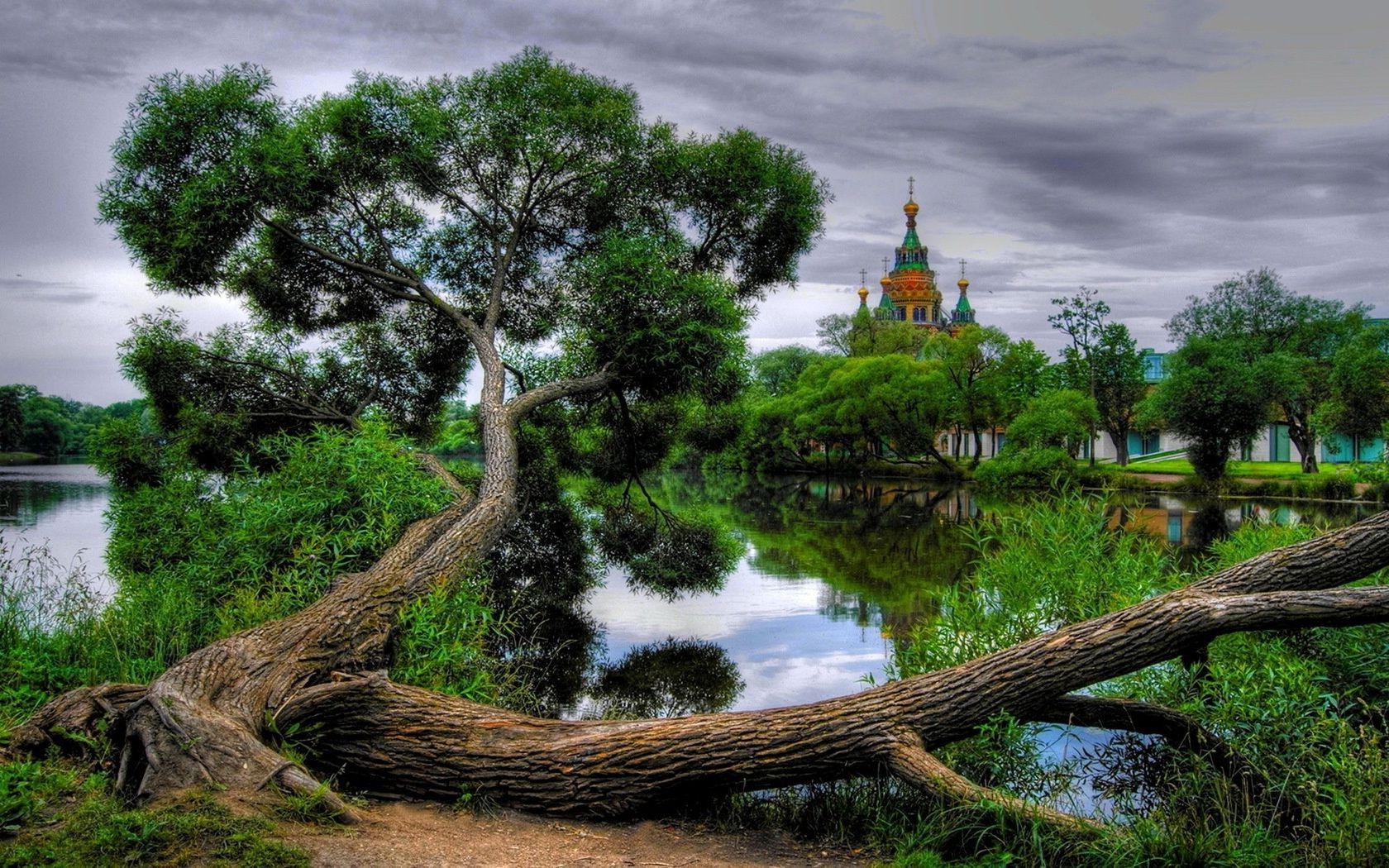 деревья дерево природа пейзаж воды путешествия древесины на открытом воздухе озеро парк небо трава лист река живописный лето