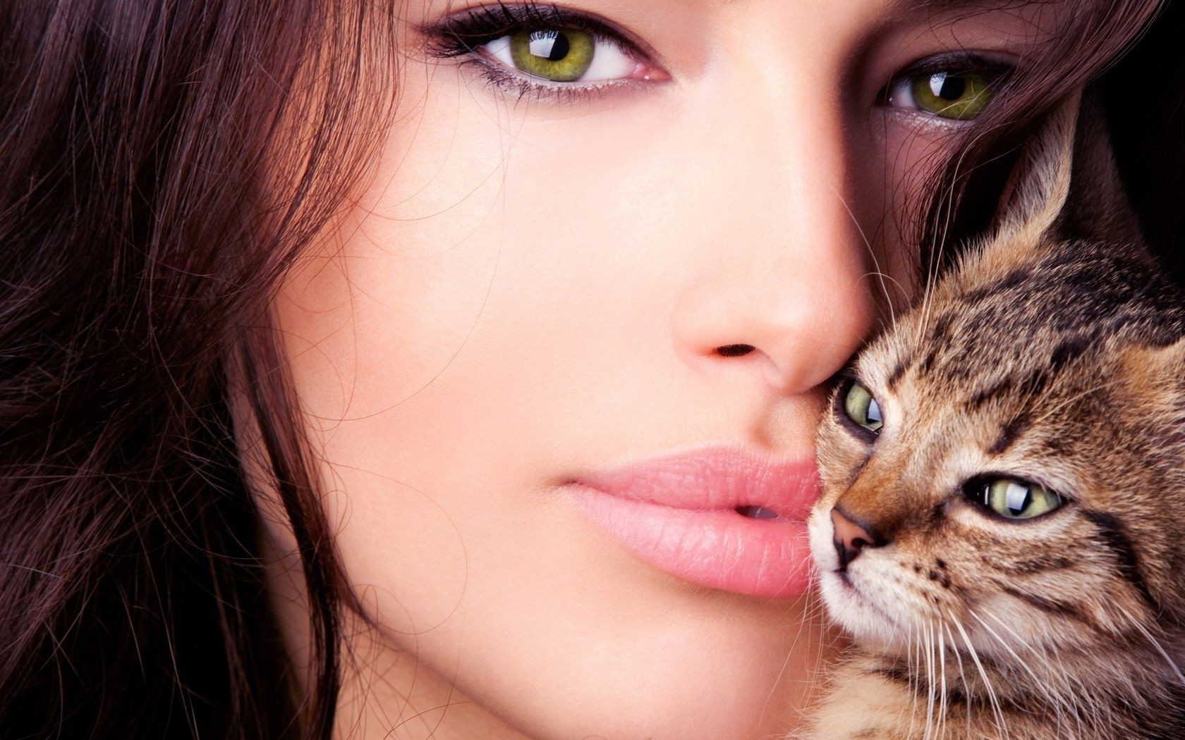 лицо и улыбка портрет милые довольно глаз молодой кошка волосы красивые студия лицо животное девушка пэт