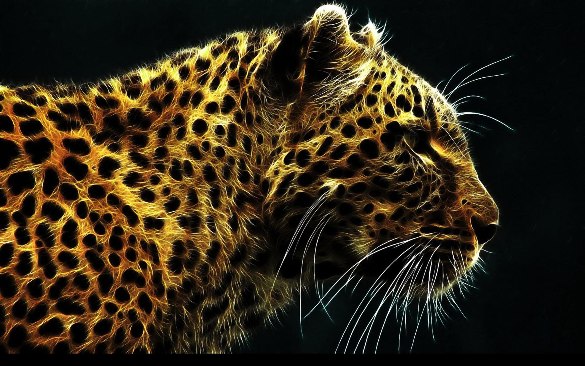 леопарды кошка леопард млекопитающее дикой природы хищник животное опасность