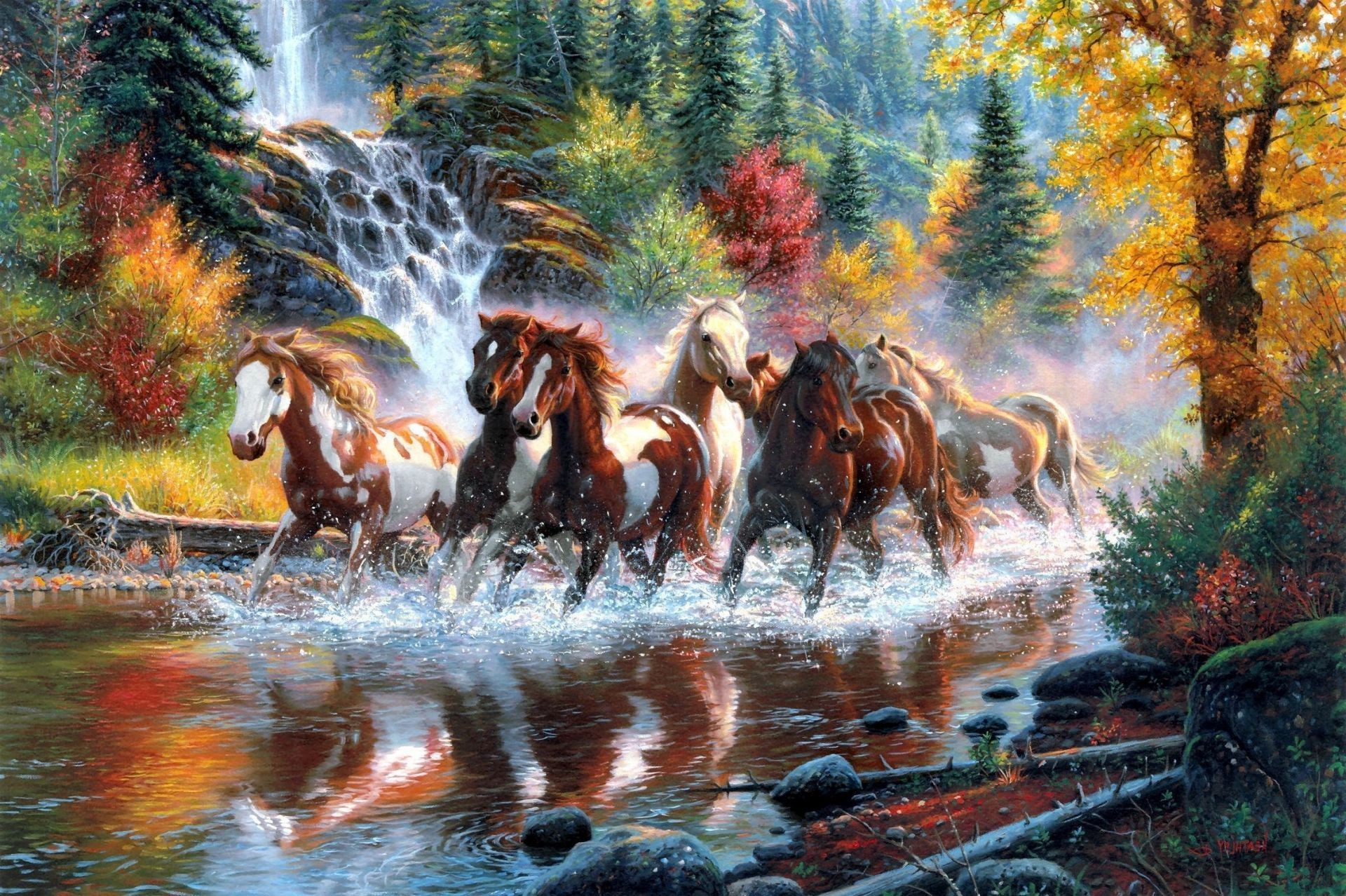 лошади млекопитающее природа на открытом воздухе воды осень конница дерево движения древесины дикий