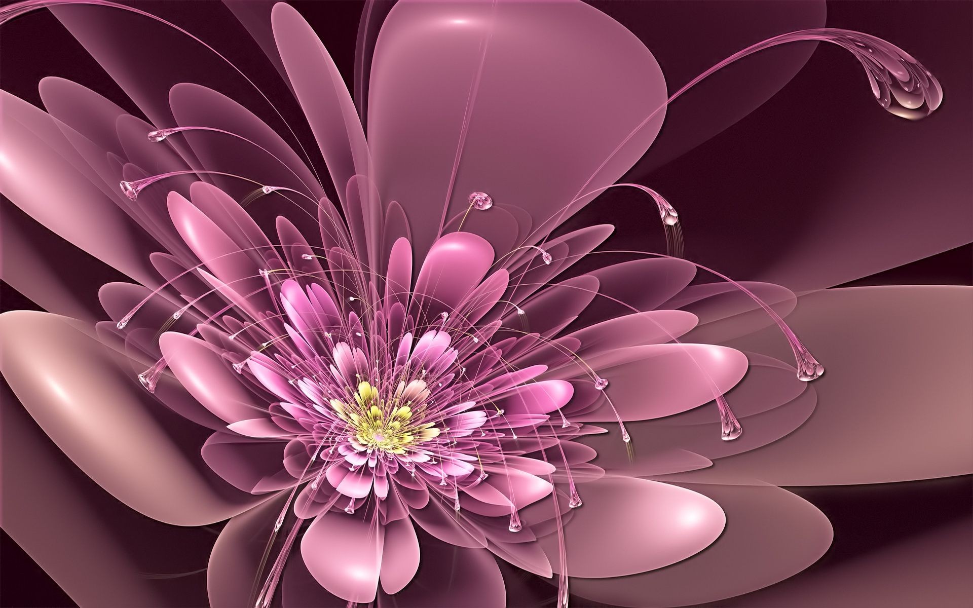неоновые дизайн иллюстрация аннотация рабочего стола элегантный цвет цветок график красивые украшения искусство яркий