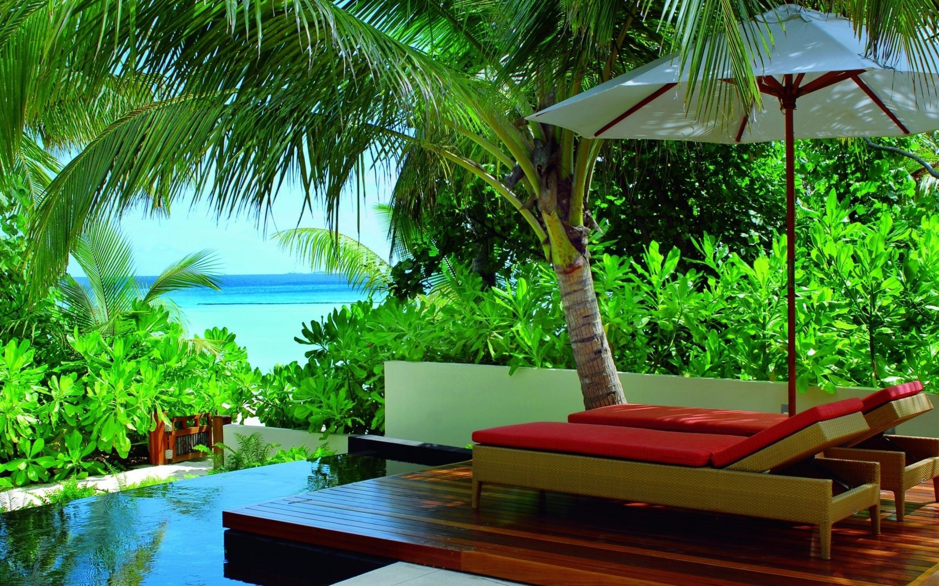 терраса тропический стул отель релаксация диван курорт бассейн ладони роскошные лето отпуск экзотические место отдых воды кокосовое остров путешествия плавательный бассейн