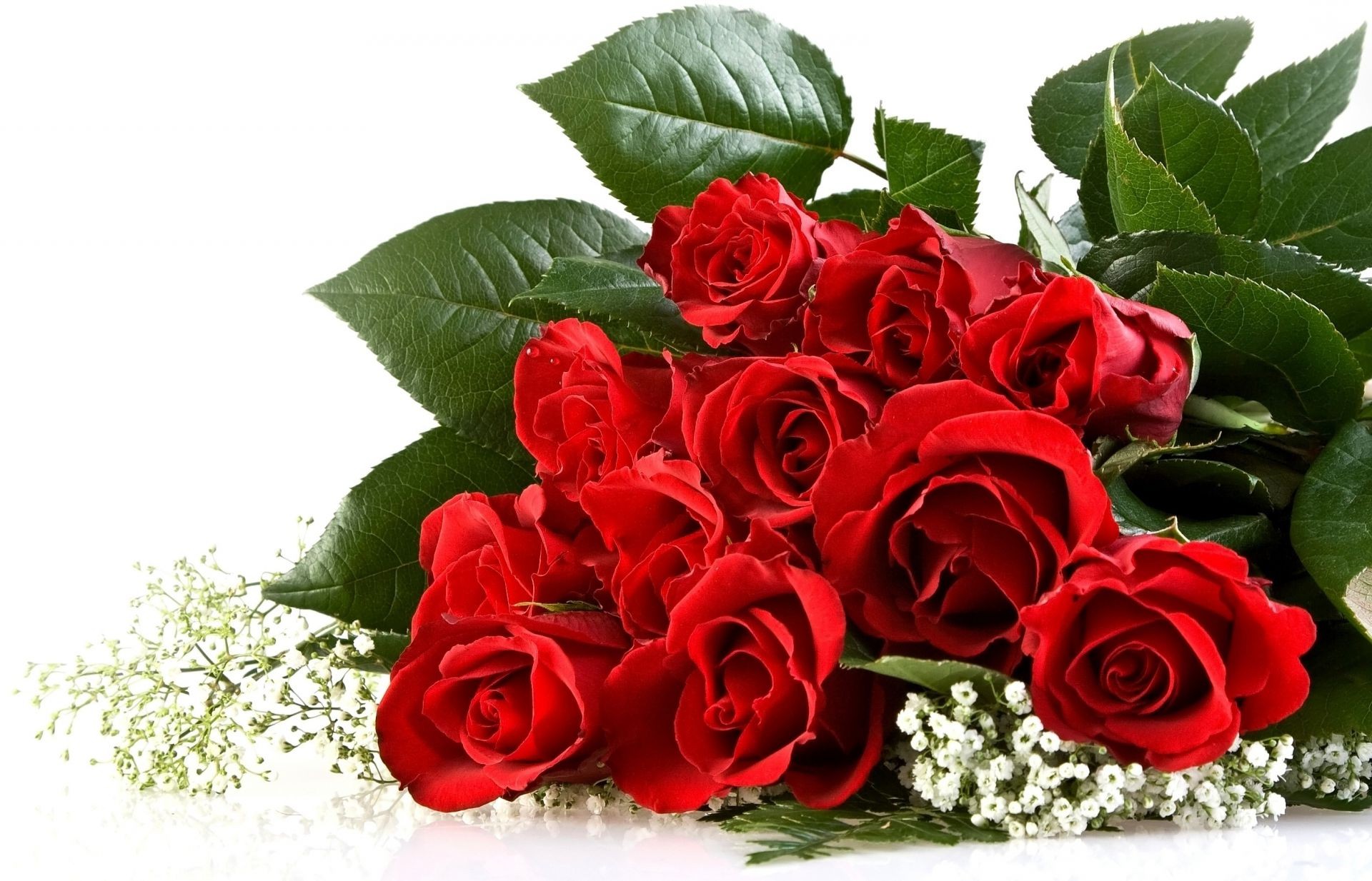 букет цветов роза романтика любовь букет лепесток цветок цветочные подарок романтический лист блюминг свадьба украшения кластер юбилей флора природа праздник дружище брак