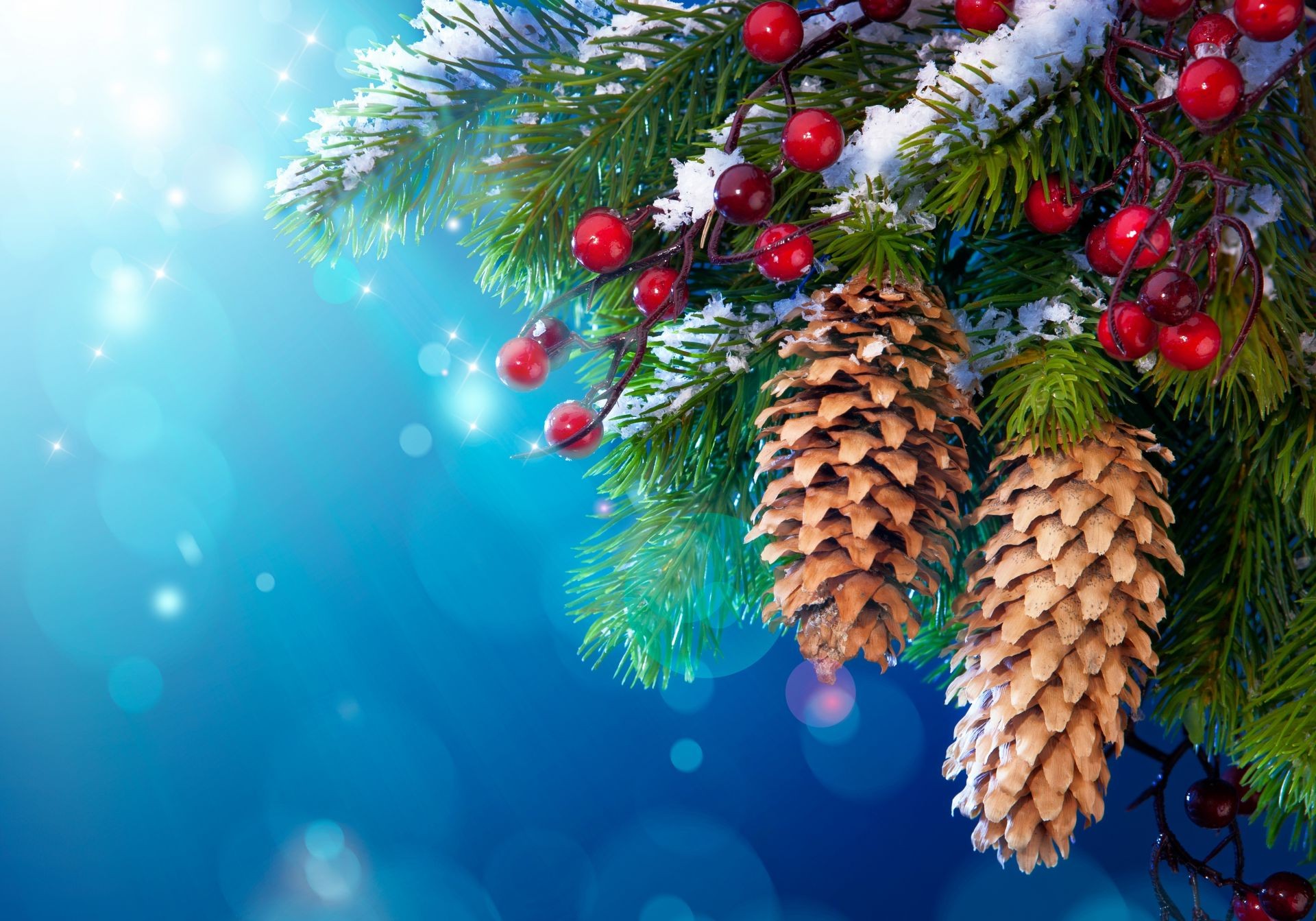 новый год рождество зима сосна пихта дерево украшения праздник конусная ели хвойные эвергрин сезон филиал светит мяч мерри рождественская елка хвойные висит