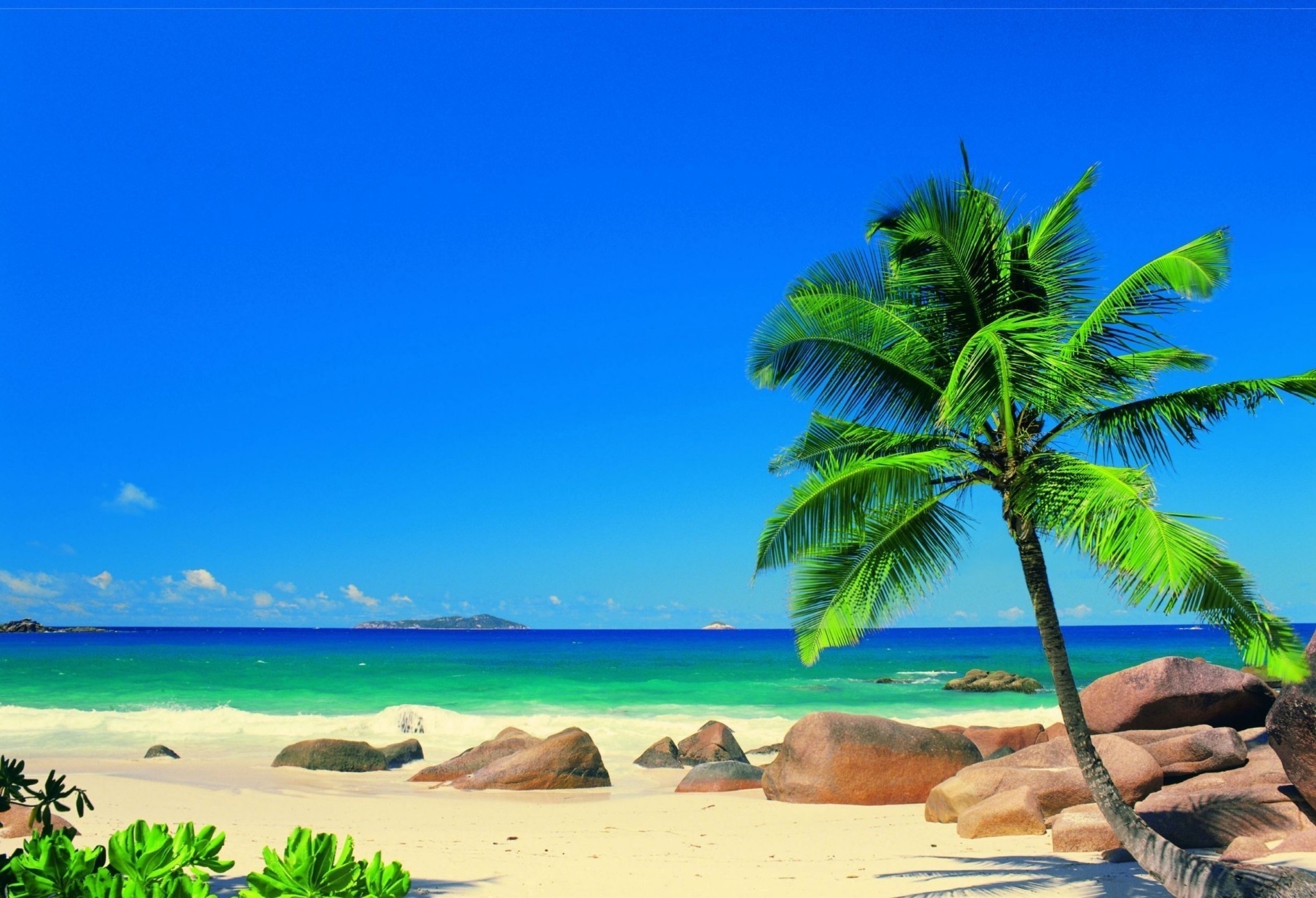 море и океан тропический песок пляж идиллия остров моря курорт бирюза релаксация отпуск лето путешествия рай океан ладони пейзаж воды экзотические солнце отдых