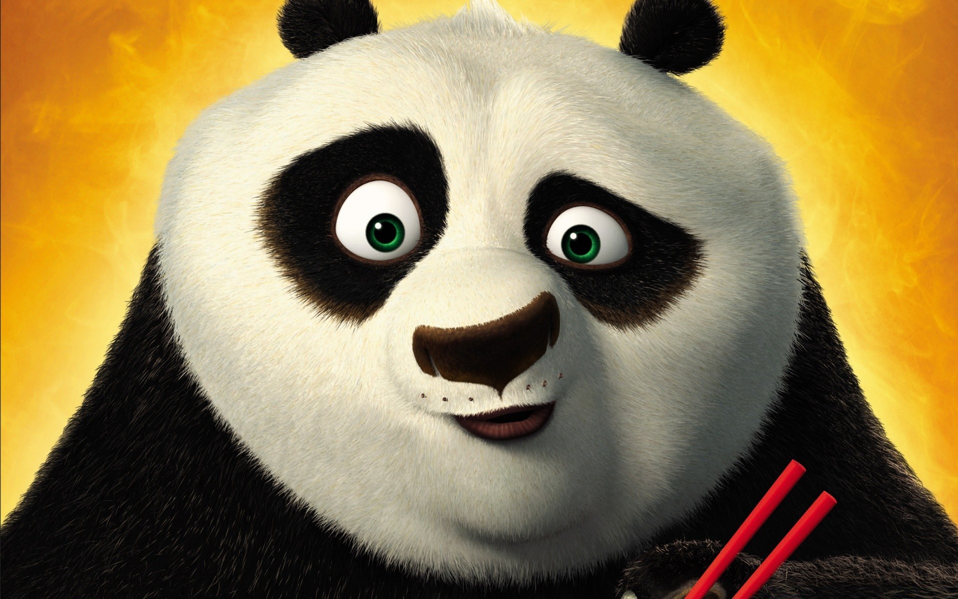 kung fu panda дикой природы животное портрет один милые млекопитающее глаз птица природа лицо смешно