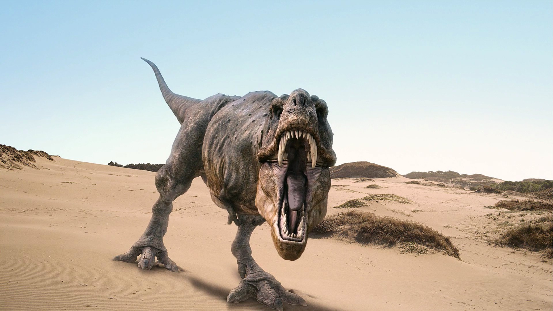 динозавры песок млекопитающее пустыня путешествия на открытом воздухе один небо