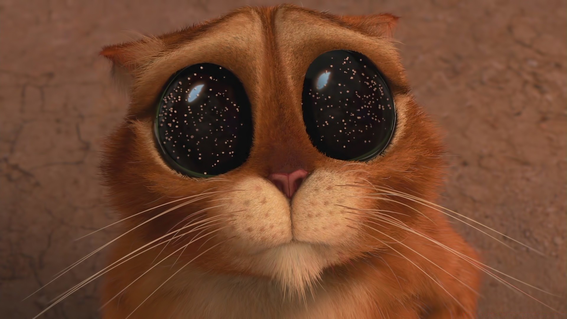 мультфильмы кошка глаз млекопитающее портрет милые один пэт мех животное природа