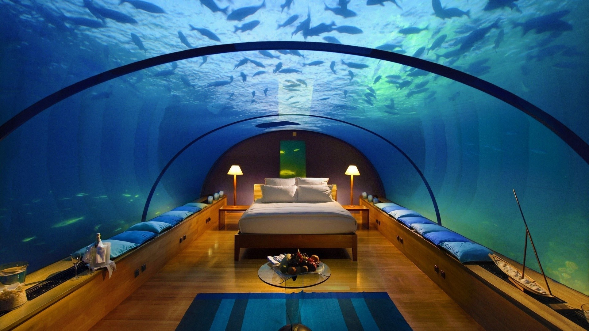 спальня воды путешествия подводный отдых море на открытом воздухе отдых океан отпуск свет