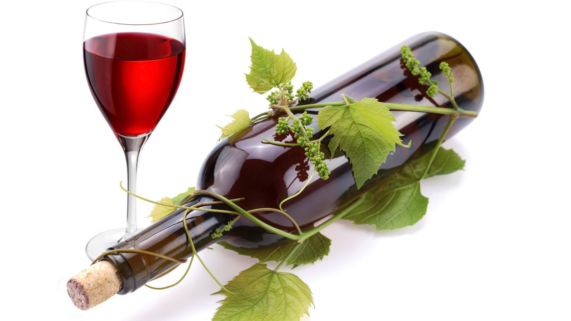 напитки вина стекло пить алкоголь изолированные лист виноград винзавод еда вайн бутылка красное вино вкус бокал роскошные