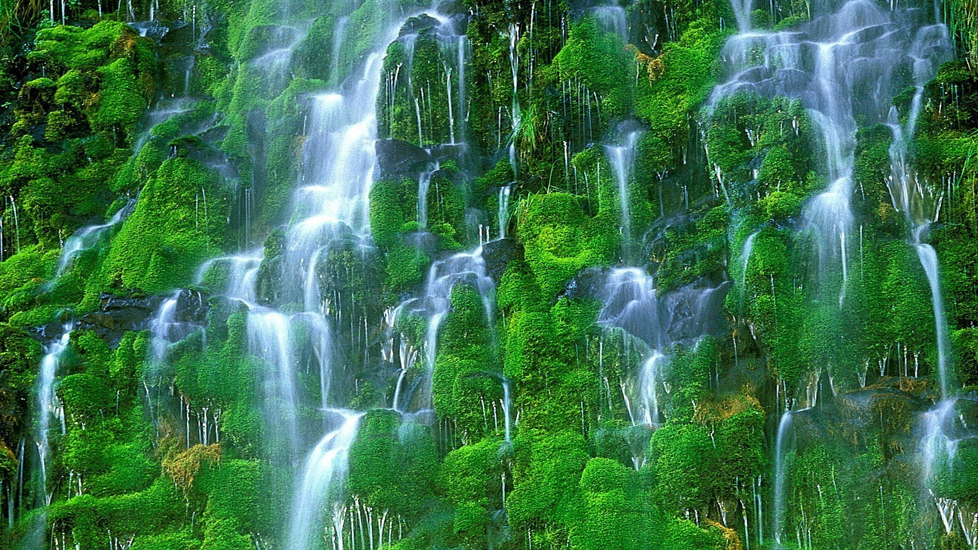 водопады природа водопад древесины воды лист мокрый пышные мох лето чистота среды каскад чистые на открытом воздухе экология тропический рок дикий трава