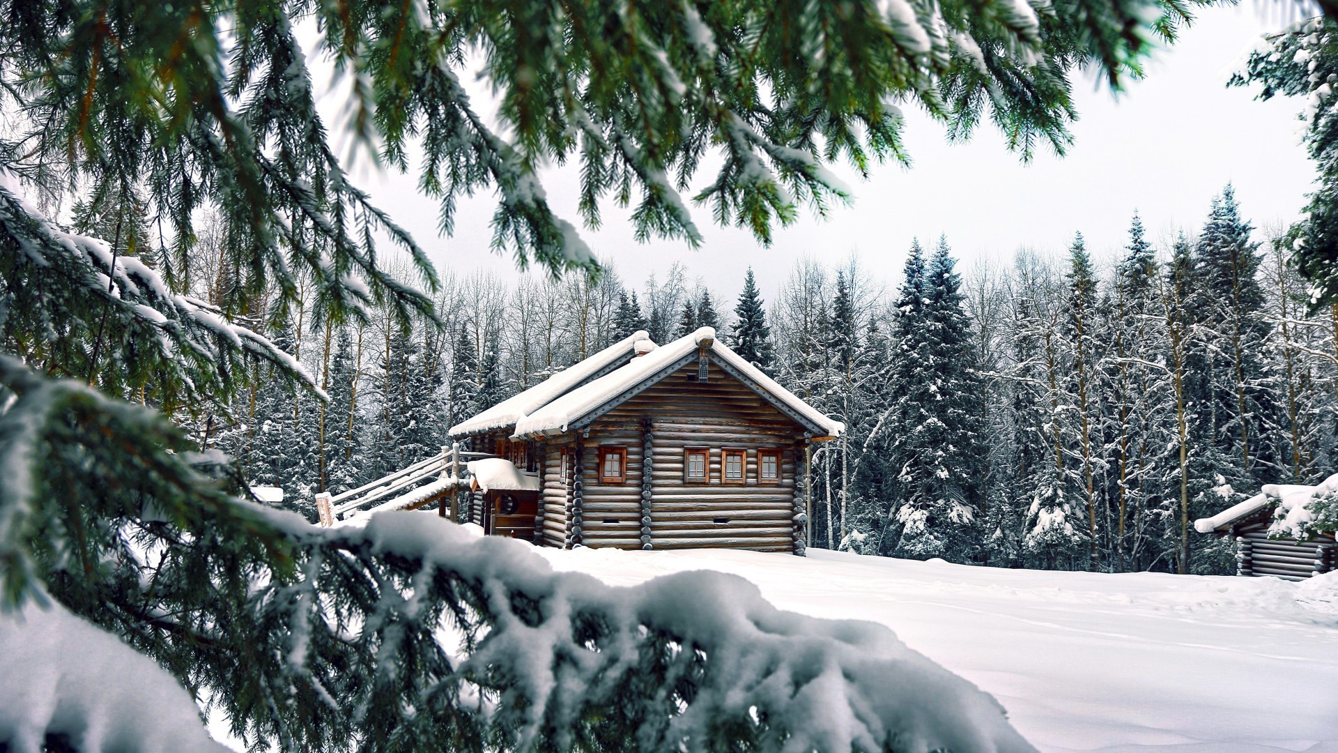 зима снег древесины дерево холодная курорт эвергрин замороженные мороз пихта сезон лед живописный сосна избушка шале пейзаж дом горы