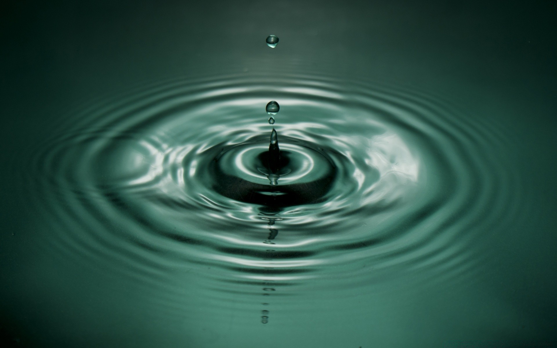 капельки и вода дождь чистота пульсация падение мокрый воды чистые движения пузырь капли всплеск водослива жидкость волна момент влияние понятно круглый отражение