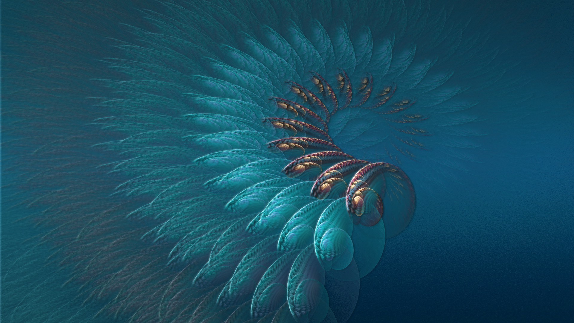 текстуры подводный воды рабочего стола океан рыбы море природа