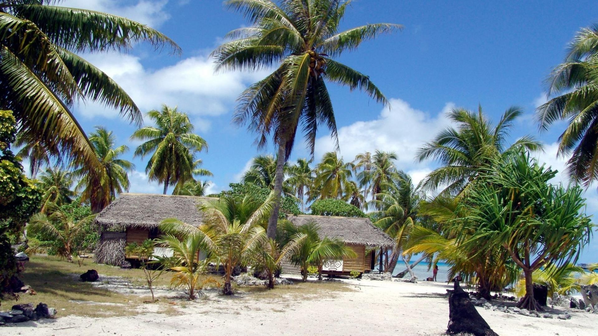 острова ладони тропический кокосовое пляж курорт отпуск остров рай путешествия песок моря экзотические океан дерево идиллия отель лето релаксация солнце туризм