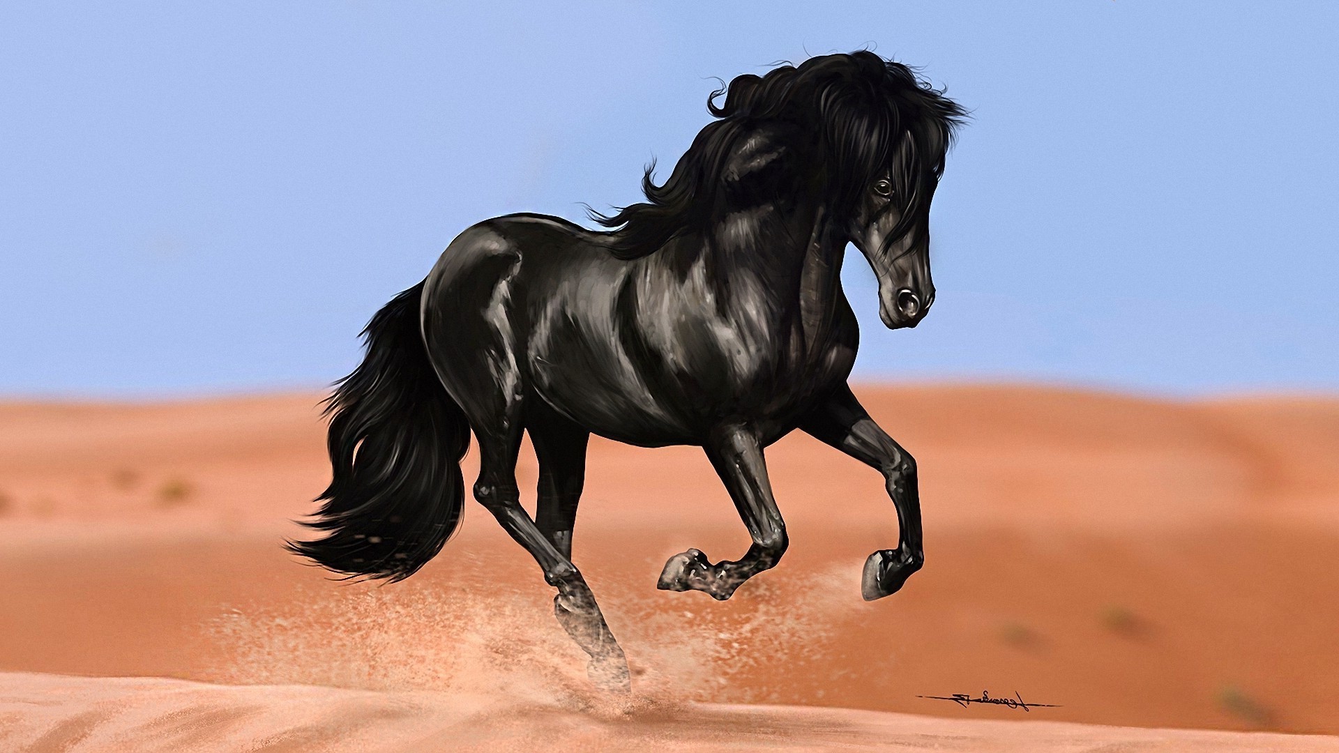 лошади лошадь млекопитающее конница маре один конный конкурс гонки коневодство жеребец на открытом воздухе действие