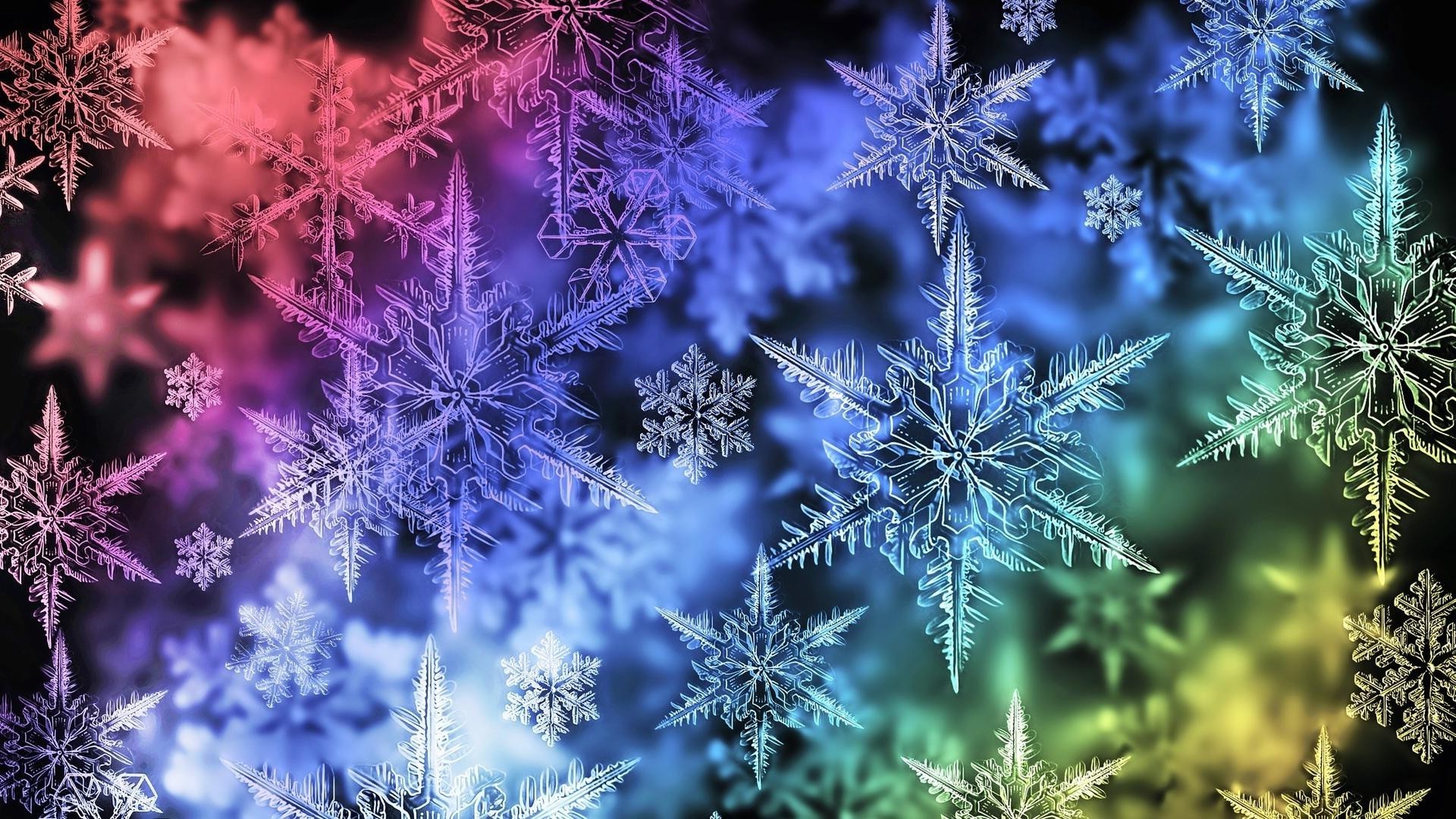 абстракция мороз рождество сезон зима украшения снежинка природа цветок рабочего стола снег яркий цвет цветочные праздник красивые