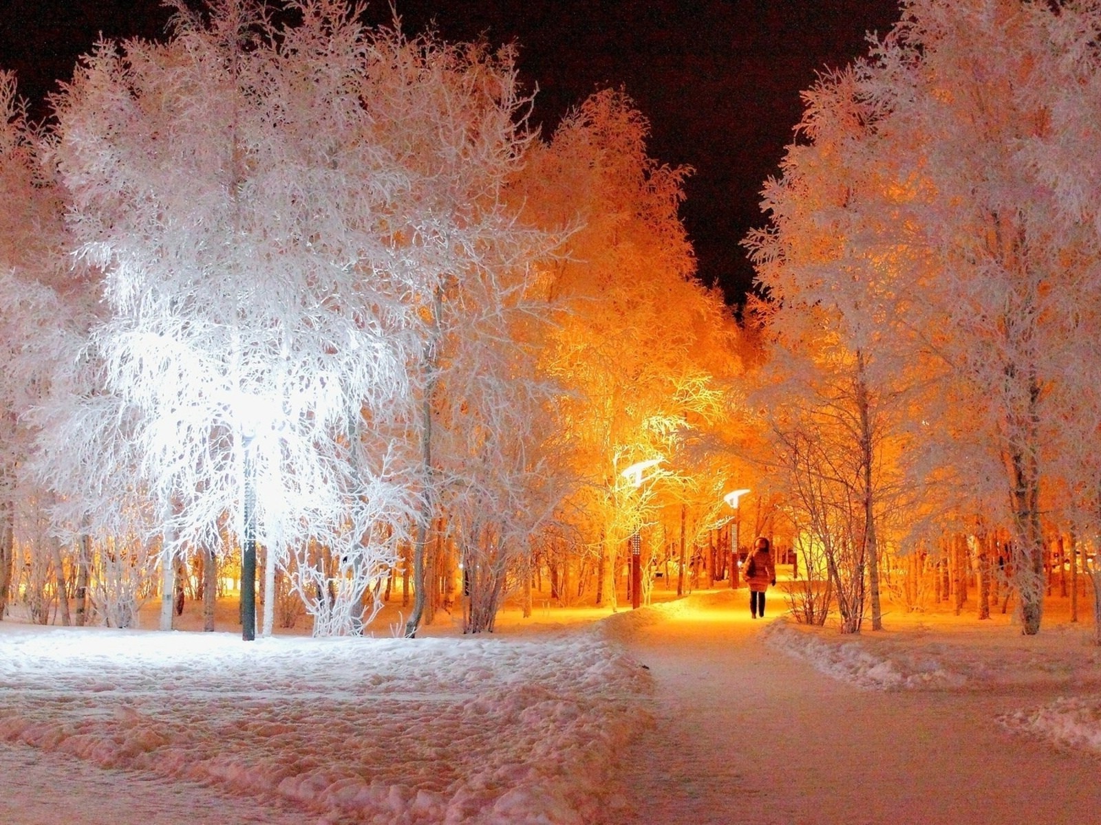 зима снег мороз холодная осень дерево пейзаж древесины на открытом воздухе природа замороженные лед сезон погода свет парк туман рассвет яркий
