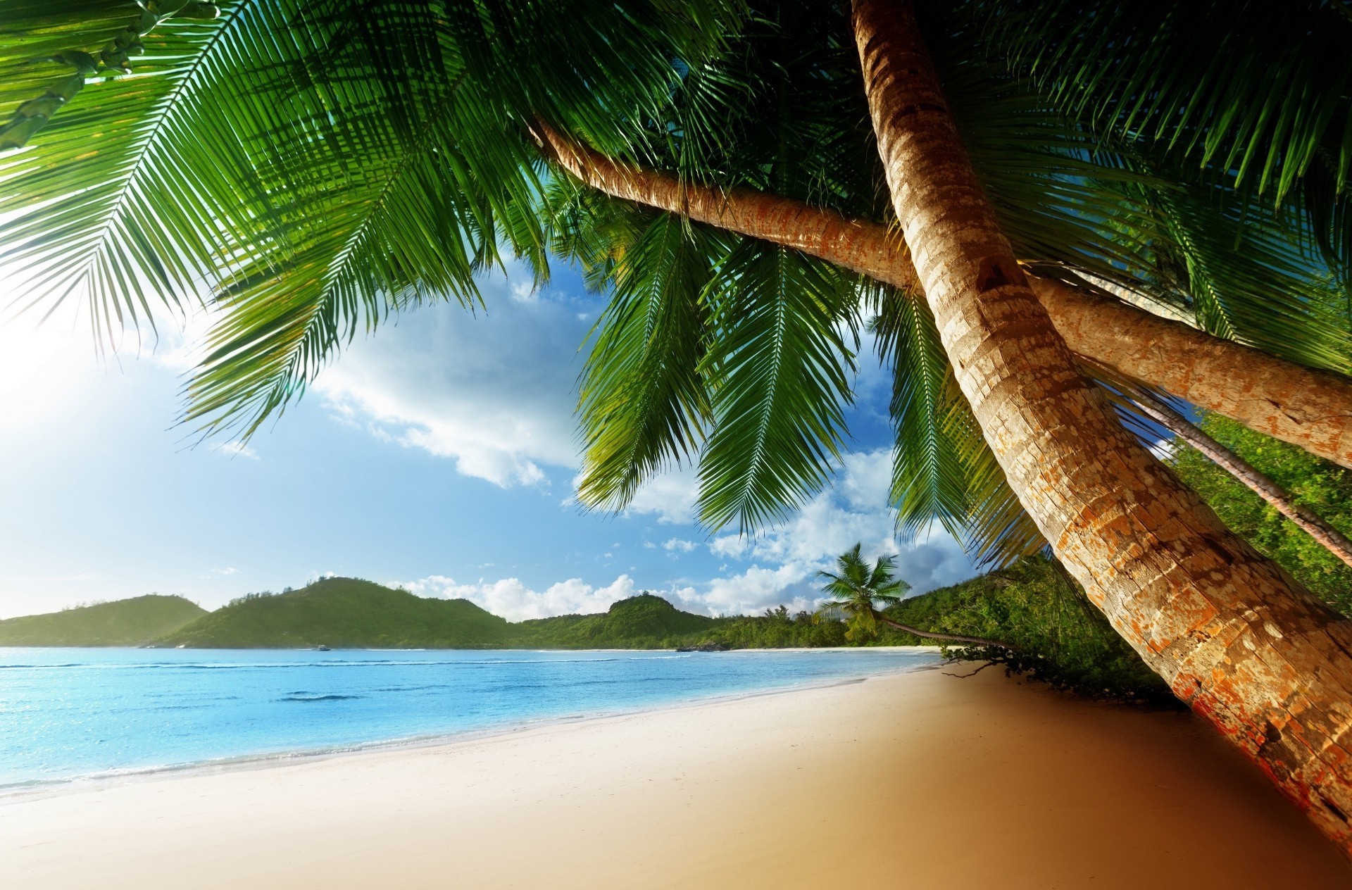 море и океан тропический пляж ладони песок экзотические рай моря остров кокосовое лето океан путешествия курорт отпуск воды идиллия природа дерево релаксация