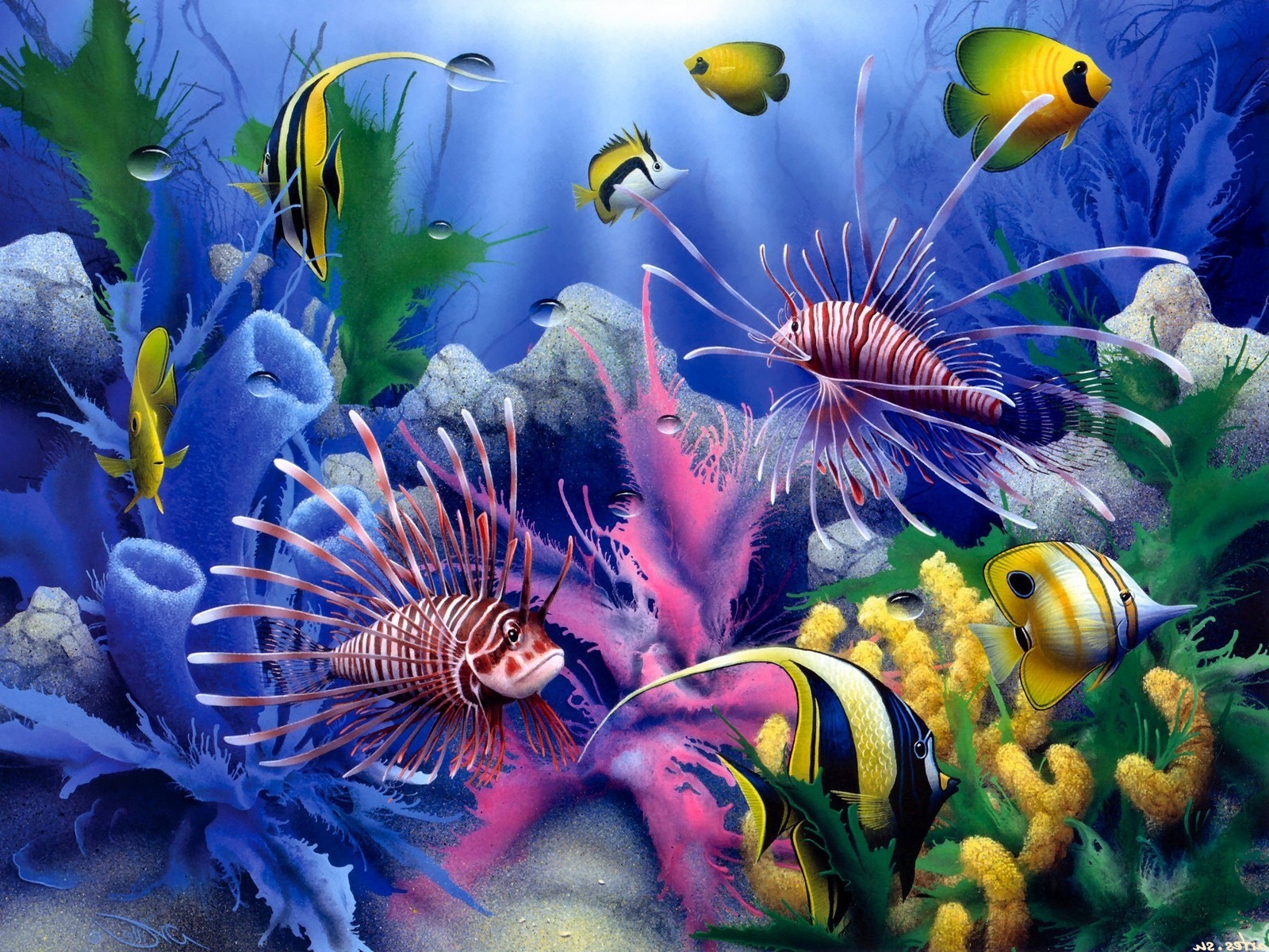 океанская жизнь подводный аквариум рыбы коралловый риф тропический водный океан дайвинг глубокий морской анемона природа танк беспозвоночных цвет море плавание воды скуба