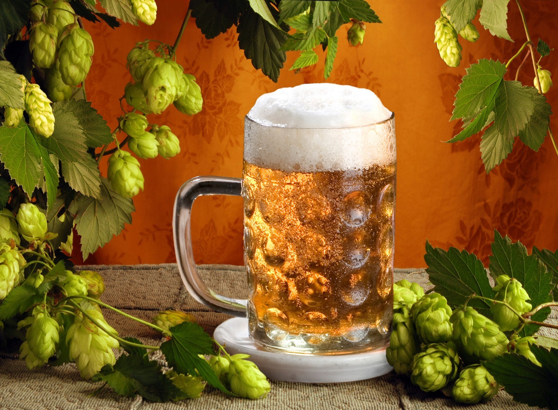 напитки пиво пивоварня стекло пить еда лист хоп алкоголь здоровый таблица самогон здоровья паб древесины