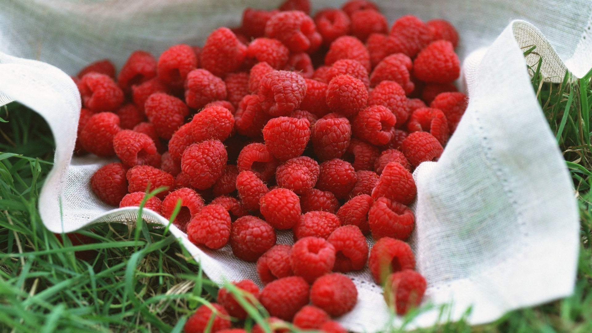 ягоды еда фрукты ягодка сладкий малина здоровый клубничный диета вкусные чаша вкусные освежение крупным планом свежесть эпикур сочные здоровья питание